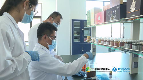 科技匠心賦能食藥同源，青春力量書寫產業華章——何貴山的技術服務之路